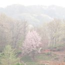 완산-165 이미지