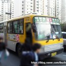 삼영운수 이미지