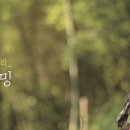 시소곡성