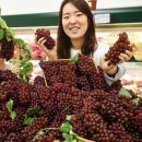 산내농협하나로마트 이미지