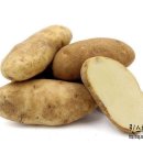 퀸스 휘트니스 이미지