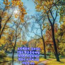 꽃에게서 배우라 // 우공이산 // 뿌리가 깊이 박힌 나무는 // 글 읽는 것은 이미지