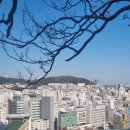 아미초등학교 이미지