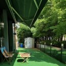 힐링힐스 동물 치과병원 이미지