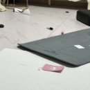 삼학사로2길 | -25.11.30/ 먹느라 흐름을 놓쳤음, 호떡이 첫 유치원 등원, 김덕규 쑥찐빵, 송파 반려견 놀이터, 모과청...