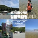 [카라반 캠핑 log#73] 아이들과 강원도 바다 여행! 양양 하조대 뜰채 낚시와 깔끔함의 끝판왕 럼버잭캠핑장