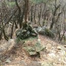 성뫼산성 Daum카페