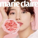 수지 - 통영시 무전4길 22-6 | 수지