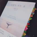 &lt;고래가 가는 곳&gt;, 아름다운 책 한 권을 소개합니다.