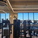 보떼 짐 이미지