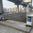[남대문 꽃시장] 야외스냅 셀프부케 준비팁 | 부케 2개 4만원대 해결(에덴화원•풍년꽃집)