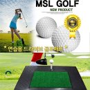 엠에스엘 이미지