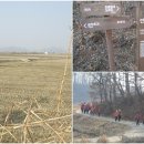 마조리보건진료소 Daum카페