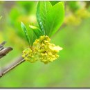 지리산지구전적비 이미지