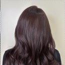 롯데백화점 중동점 이미지