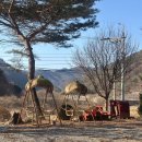 돌뫼농원 이미지