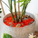 미니정원 이미지