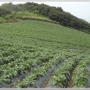 성일목장 이미지