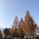고경주유소 이미지