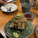 로지토라