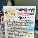 황새목 | 포천 유기견 입양카페 '너와함개냥' 방문 후기