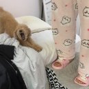 합정스타약국 | 안녕