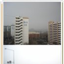 에스바 Daum카페