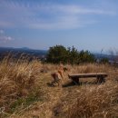 사랑마음이네 이미지