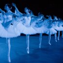 윌트레이딩 이미지