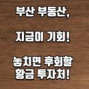 보석1호 태양광발전소 | 부산 강서구 부동산, &#39;이것&#39; 모르면 후회! 제1호 분산에너지 특화지역의 숨겨진 투자 가치