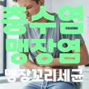 갑자기 오른쪽 배가 아프다면? 충수염 신호일 수도 있어요! (feat. 맹장염 완벽 해결법)