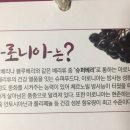 옛찬 이미지
