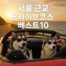산속등대미술관 | 서울 근교 드라이브코스 베스트10🚗
