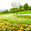 순천만국가정원 이미지