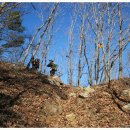 벌재농장 이미지