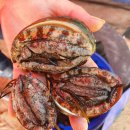 태안스테이션 이미지