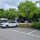 안산썰매장 이미지