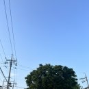 [수원]카카오톡 선물하기 사용후기 BHC치킨 세류점