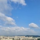 2021-주165 이미지