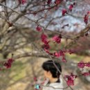 파리바게뜨(본리) 이미지
