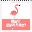 강일연세이비인후과의원 이미지