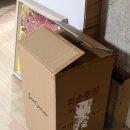 청룡전자 | 삼성전자 청룡달수인형 실물후기