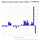 디지털자산 펀드 지난주 약 $5억 유출 … GBTC 유출 감소 추세 – 코인셰어스 이미지