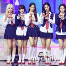 리즈 카카오 검색결과