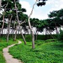 해미종합시장 이미지