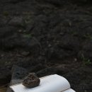 [프로젝트] 책갈피 만들기 이미지