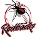 REDBACKS 이미지