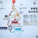 제116차 정기산행 - 인재 자작나무숲길 이미지