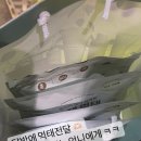 먹태언니 이미지