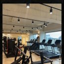 트라이짐 이미지